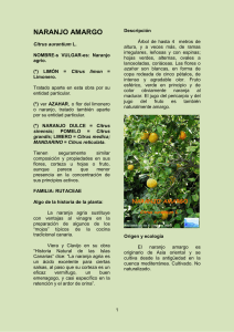Naranjo Agrio - Agaetespacioweb