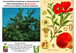 Características botánicas y requerimientos edafo