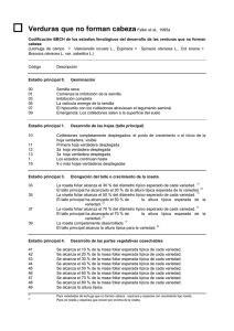 Verduras que no forman cabezaFeller et al., 1995a