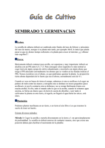 SEMBRADO Y GERMINACIóN