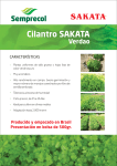 Cilantro - Semprecol