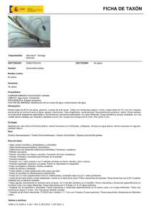 FICHA DE TAXÓN