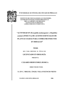 &ldquo;ACTIVIDAD EN Drosophila melanogaster y Sitophilus zeamais