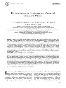 historia natural de dioon m erolae (zamiaceae) en chiapas