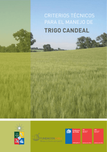 Trigo CANDEAL - Relación Suelo Agua Planta