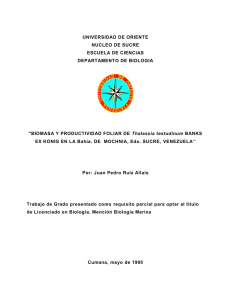 Bajar pdf. - Costa de Venezuela