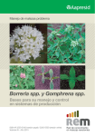 Borreria spp. y Gomphrena spp.
