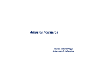 Arbustos Forrajeros - Praderas y Pasturas