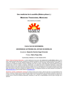 Uso medicinal de la aceitilla