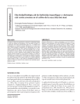 Efectividad biológica de los herbicidas imazethapyr y clorimuron etyl