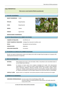 Falsa acacia, acacia bastarda (Robinia pseudoacacia) 1