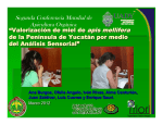 A. Burgos - Valorización miel, análisis sensorial
