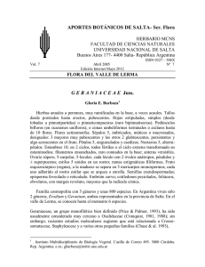 Erodium cicutarium - Universidad Nacional de Salta