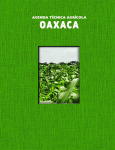 Oaxaca - SER Mexicano