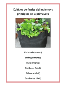 Cultivos de finales del invierno y principios de la primavera