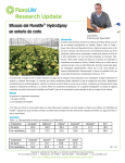 Eficacia del HydroSpray de Floralife® en Anturio de corte