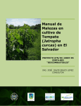 en El Salvador - Ambientalex.info