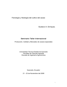 Fenología y fisiología del cultivo del cacao Gustavo A. Enríquez