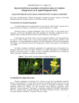 Insectos herbívoros asociados a Oenothera indecora Cambess