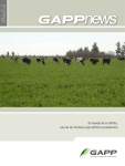 El manejo de la alfalfa, uno de los factores que define la