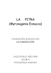 LA PITRA (Myrceugenia Exsucca)