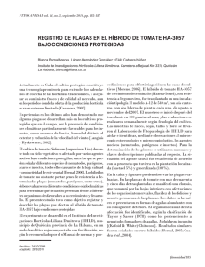 Descargar este fichero PDF