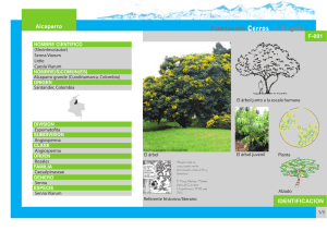 AQUI - Fundación Cerros de Bogotá