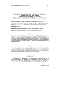 fenología estacional y del capítulo de la sección monoptera