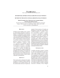 REVISI&Oacute;N DEL G&Eacute;NERO CONDALIA (RHAMNACEAE) EN M&Eacute;XICO