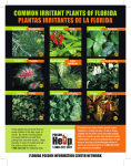 Poisonous Plants revised 09
