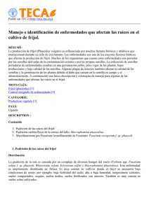 Télécharger description