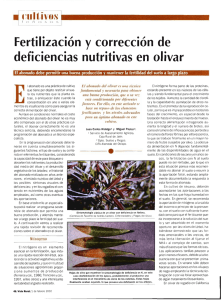 deficiencias nutritivas en olivar