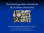 Jardines prehispánicos de México