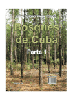 Bosques de Cuba (parte I )