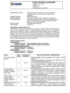 algachem - Campo Track