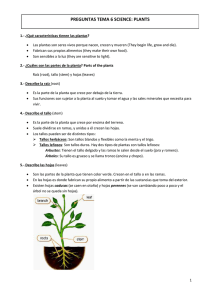 preguntas tema 6 science: plants