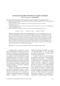 Anatomía micrográfica del folíolo de la palma neotropical Bactris