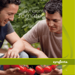 Catálogo tomate 2015