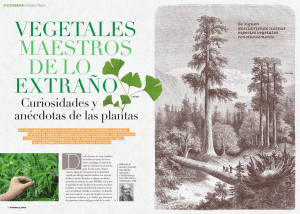 Curiosidades y anécdotas de las plantas