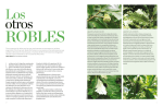 Los otros robles Revista Jardín