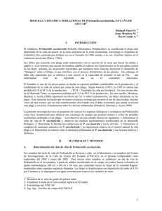 Biolog&iacute;a y din&aacute;mica poblacional de Perkinsiella