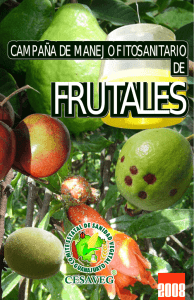 folleto fruta 08.cdr