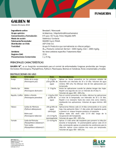 galben m - Loveland