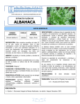 albahaca - Extractos Naturales