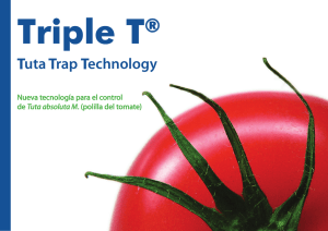 Tuta Trap Technology - Wayne Agro