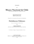 Museo Nacional de Chile - Fundación RA Philippi de estudios