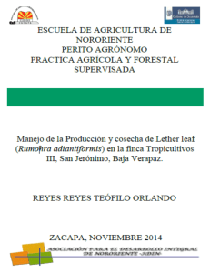 Untitled - eanor itecnor