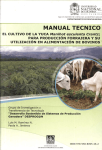 Manual técnico. El cultivo de la yuca Manihot esculenta Crantz