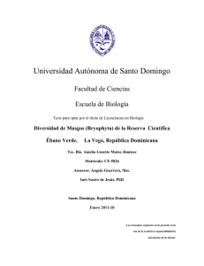 Descargar - Grupo Jaragua