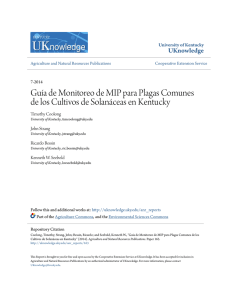 Guía de Monitoreo de MIP para Plagas Comunes de